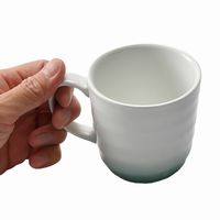 アースモス マグカップ吹付ヒワ マグカップ [2個入] vac-304-06005（直送品）