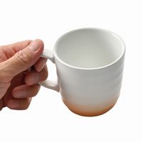 アースモス マグカップ吹付山吹 マグカップ [2個入] vac-308-06005（直送品）