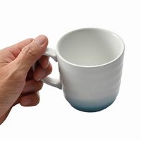 アースモス マグカップ吹付あさぎ マグカップ [2個入] vac-309-06005（直送品）