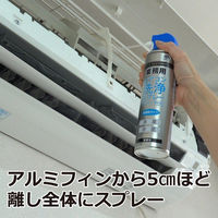 アース製薬 【除菌・清掃】業務用エアコン洗浄スプレー 4901080675217-1 1本