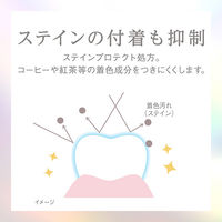 Lightee（ライティー） ハミガキPREMIUM シトラスティーミント 100g 1セット（2本） ライオン 歯磨き粉 美白