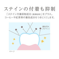 Lightee（ライティー） ハミガキPREMIUM シトラスティーミント 53g 1セット（2本） ライオン 歯磨き粉 美白