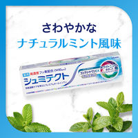 歯磨き粉 フッ素 シュミテクト コンプリートワンEX プレミアム ナチュラルミント 90g 1セット（4本）薬用高濃度フッ素配合