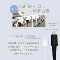 オウルテック 断線に強いUSB Type-A to Lightningケーブル 1m ブラック OWL-CBALA10-BK 1個