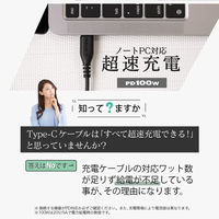 オウルテック PD100W対応USB Type-C-Type-Cケーブル 1mブラック OWL-CBKGBCC10-BK 1個