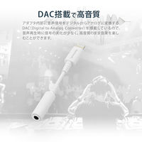 オウルテック Lightningからイヤホンミニプラグへオーディオ変換ケーブル ブラックレッド OWL-CBLTF3501-BKRE 1個