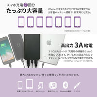 オウルテック かしこく充電対応 大容量モバイルバッテリー20000mAh ホワイト OWL-LPB20001-WH 1個