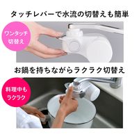 東レ SX904V-VSET 1個