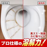 コモライフ プロユース尿石落としジェル トレシャイン 391534 1本入