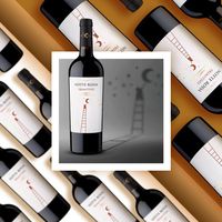 イタリア　ノッテロッサ　プリミティーヴォ 赤ワイン　フルボディ　750ml 1本　日本酒類販売