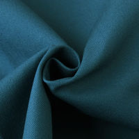 日本紐釦貿易 高島11号帆布　無地　レインブルー　3mカット　L5000-50-3M　約巾110cm×3mカット（直送品）