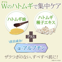 コモライフ ビューナ ポツトロWパック 391205 1個（直送品）