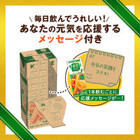 カゴメ 野菜生活100 オリジナル 200ml 贈答用 ビッグパッケージ 1箱（30本入）【野菜ジュース】