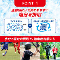 大正製薬 リポビタン　アイススラリーSports ハニーレモン風味 120g 1箱（6個入）