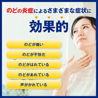 ヴイックス メディケイテッドドロップ シュガーレスアセロラ 25個入 2箱セット 大正製薬 のど飴 のどの痛み 炎症 殺菌 消毒