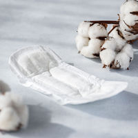 ナチュラ 吸水ケア シンプルデザイン  50cc 24CM 100枚:（5パック×20枚入）エリエール 大王製紙 限定