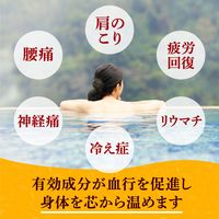 入浴剤 詰め合わせ 温泉の素 温泉郷めぐり 4種 （30g×15包）×4箱 （透明・にごりミックス） 粉末 アース製薬