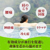 入浴剤 詰め合わせ 温泉の素 薬泉めぐり 4種 （30g×15包）×4箱 （透明・にごりミックス） 粉末 アース製薬