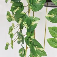 アントレックス bcl フェイクグリーン スタンドポット 幅210×奥行210×高さ630mm ポトス 4992831250456 1個（直送品）