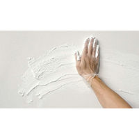 ニッペホームプロダクツ STYLE MORUMORU 4976124882548 1個