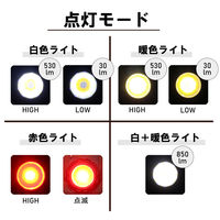 ビックマン LEDミニミニポケットライト 充電式 縦丸 BPLM-05 1個（直送品）