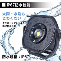 長輝LITETEC LED投光器 15W 充電式 PO-01B 1台