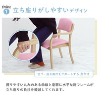 ネットフォース シエル ダイニングチェア 介護用椅子 組立品 ブラウンフレーム×ベージュ 介護 福祉用 ETV-4-2-AW 1脚（直送品）