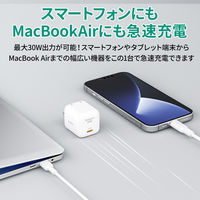 USB充電器 AC充電器 USB Type-C 1ポート 30W コンパクト Omnia II ホワイト 1個 AUKEY