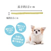 Pet-Pro ペットプロ デンタル&ヘルシーガム 超小型犬用極細ガム チーズ味 15本 272907 1袋（直送品）