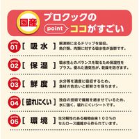 キッチンペーパー クッキングペーパー 鮮度保持シート プロクック procook 1個（150カット）