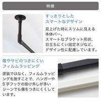 TOSO お洒落なランドリーバー〈ハングングバー・ホワイト〉W2780×H270 4975559921907 1セット（直送品）