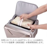 氷点下パックGT-16℃・ハード900g 81660613 1個 LOGOS/ロゴス