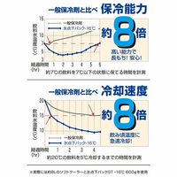 氷点下パックGT-16℃・ハード600g 81660612 1個 LOGOS/ロゴス