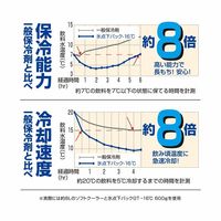 氷点下パックGT-16℃・ハード1200g 81660611 1個 LOGOS/ロゴス