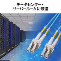 サンワサプライ メガネ型光ファイバケーブル（マルチ50μmOM4、LC×2-LC×2、2m） HKB-OM4LCLC-02 1個（直送品）