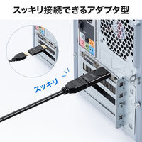 サンワサプライ DisplayPort-HDMI 変換アダプタ(4K/60Hz対応) AD-DPPHD02 1個（直送品）