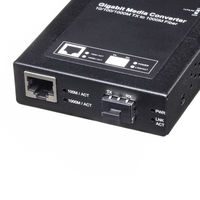 サンワサプライ SFPポートダストカバー HKB-TLDST1 1個