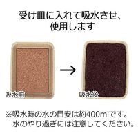 サカタのタネ サカタ SF ピートバン 5枚入 2100452 1セット