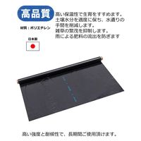 岩谷マテリアル 岩谷 菜園用黒マルチ 0.02mm×1350mm×50m 2100735 1巻（直送品）