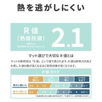 ラプラス MM-003-RGフォールディングマット RG　1枚（直送品）