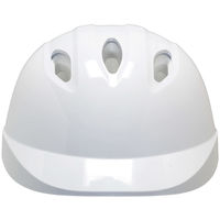 【ヘルメット】 DICプラスチック 自転車用ヘルメット ベンチレーション付き ジュニア TS06V-2 SM 1個