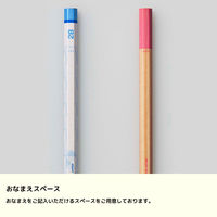 三菱鉛筆 ナノダイヤ鉛筆6595 NDST 青 2B 3P K65952B 1パック