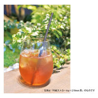 パックスタイル PS紙ストロー 6φ×210mm 白(袋入) 603940 1袋(100本)（直送品）