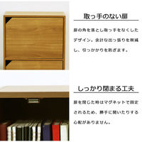 エイ・アイ・エス ドア付きカラーボックス 3段 幅415×奥行292×高さ889mm ホワイト CO-16WH 1台（直送品）