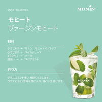 モナン モヒートミント・シロップ 1本