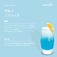 モナン ブルーキュラソウ・シロップ 1本