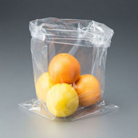 アスクルオリジナル　ポリ袋（規格袋）　LDPE・透明　0.02mm厚　15号　300mm×450mm　1袋（100枚入）  オリジナル（わけあり品）