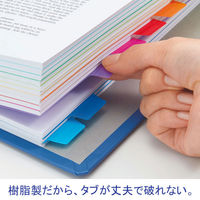 アスクル カラーインデックス A3ヨコ インデックスシート 2穴 5山 PP製 1組  オリジナル（わけあり品）