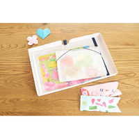 サクラクレパス 作品思い出ボックス大ホワイト TFX-L#50 1セット(2冊)