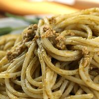 モンティ バジルペースト イタリア産バジル 180g 1セット（3個） キャメル珈琲